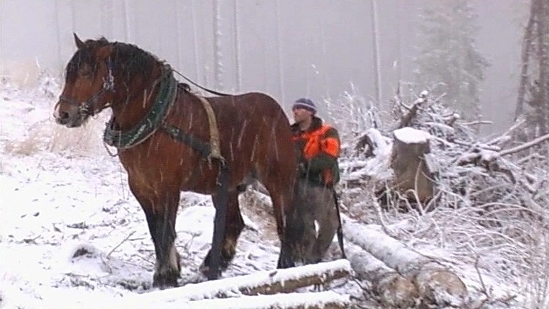 Zasnežené strechy domov na severe Slovenska
